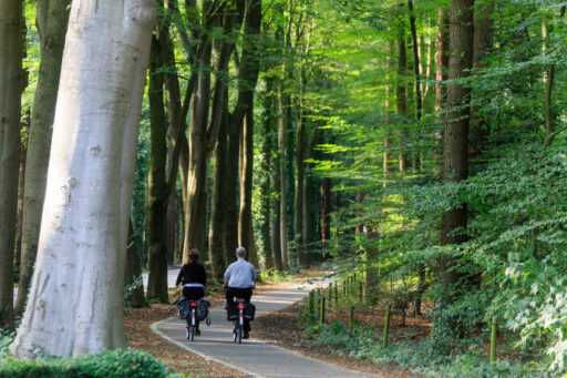 Nationalpark Hoge Veluwe